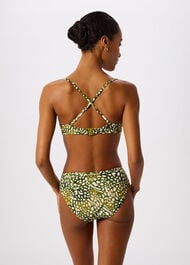 Animal Bikini Bottom