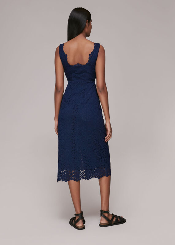 Navy Nova Lace Midi Dress