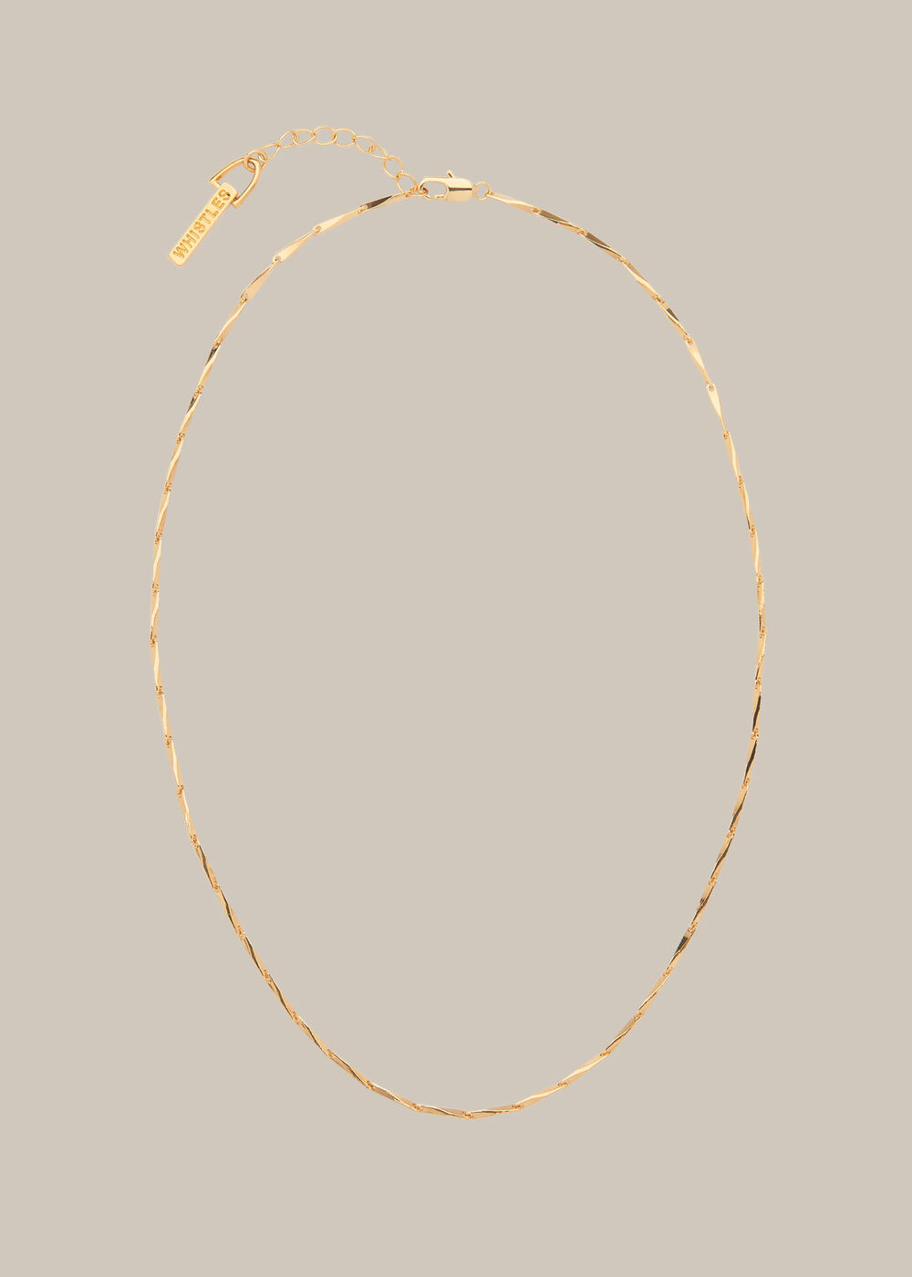 Long Link Necklace