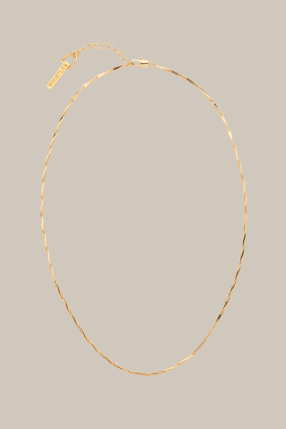 Long Link Necklace