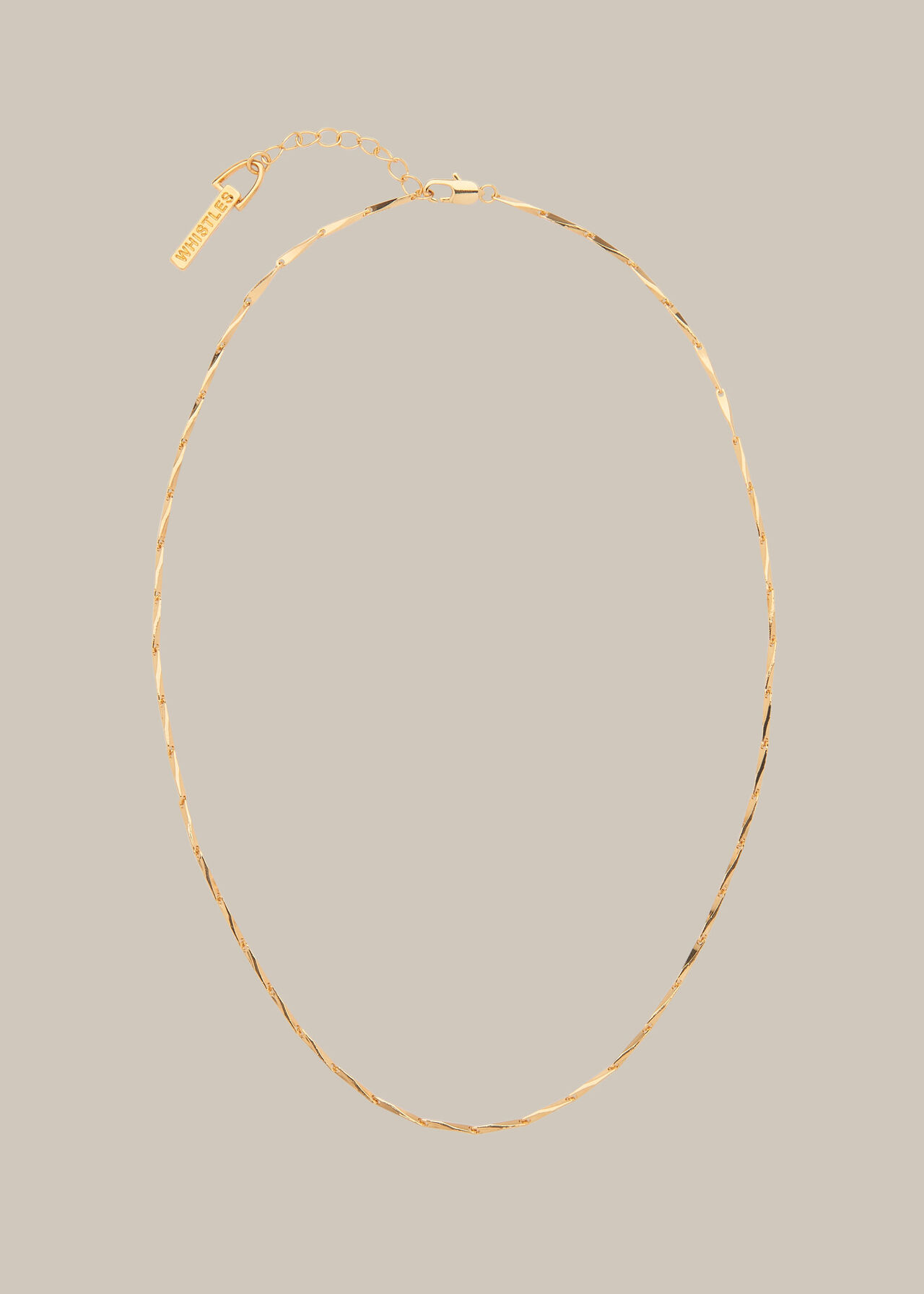 Long Link Necklace