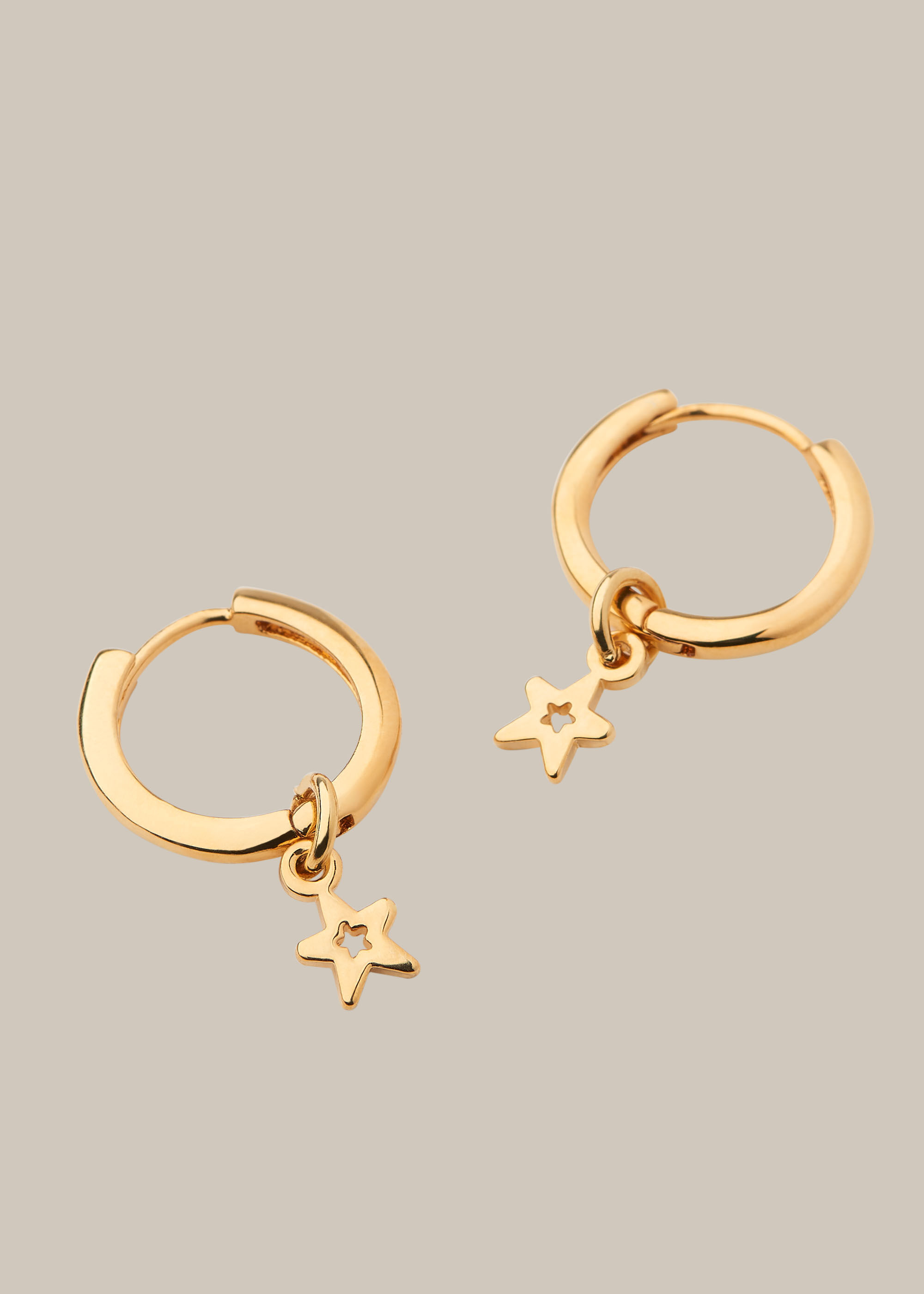 Whistles earrings 2025