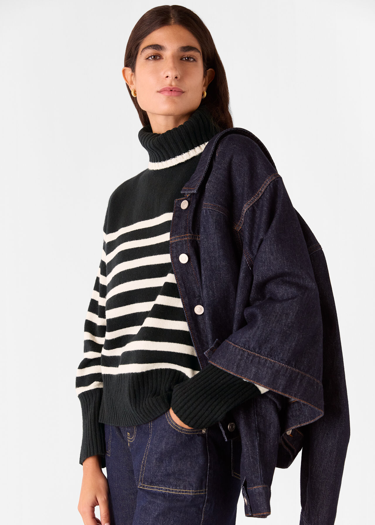 Stripe Wool Roll Neck