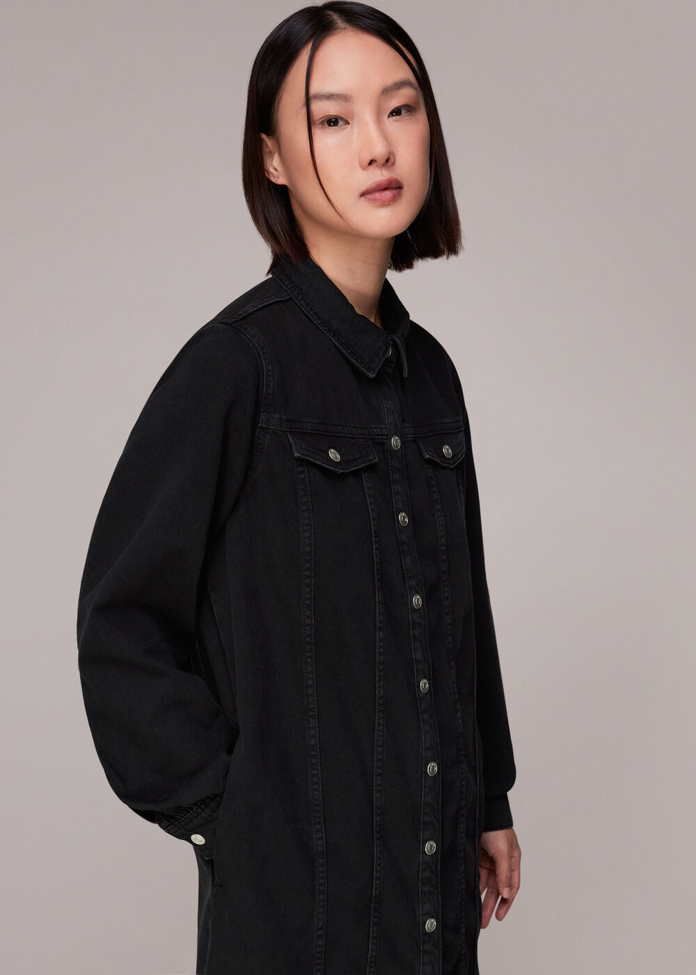 Rosanna Denim Dress
