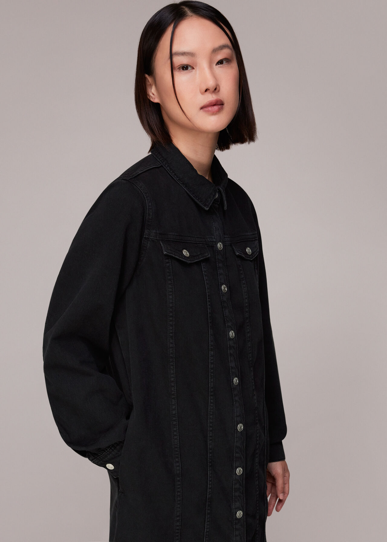 Rosanna Denim Dress