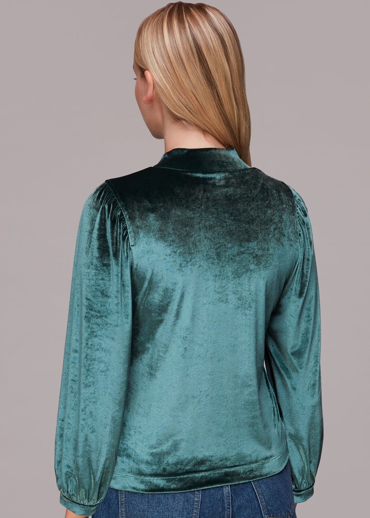 High Neck Velvet Top