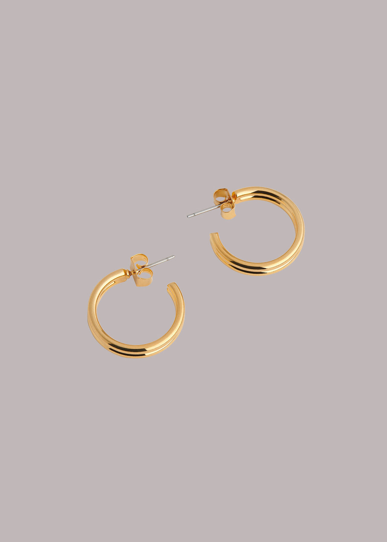 Double Hoop Earring