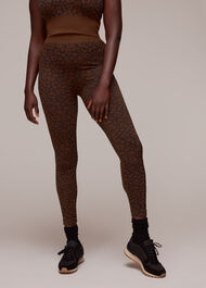 Animal Seamless Sports Legging