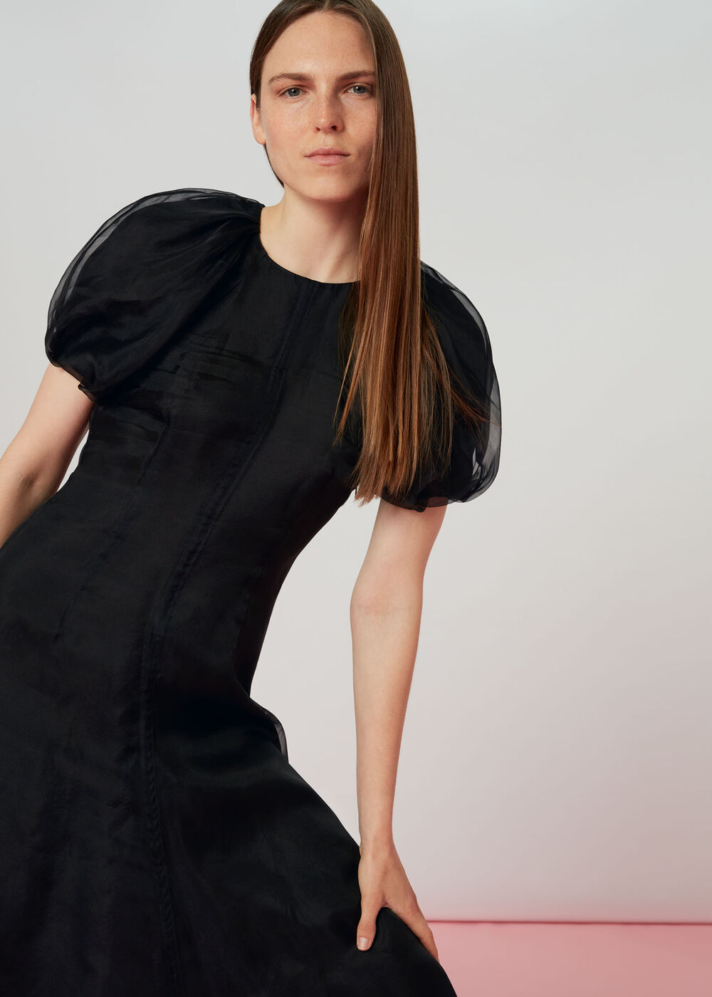 Organza Puff Sleeve Dress
