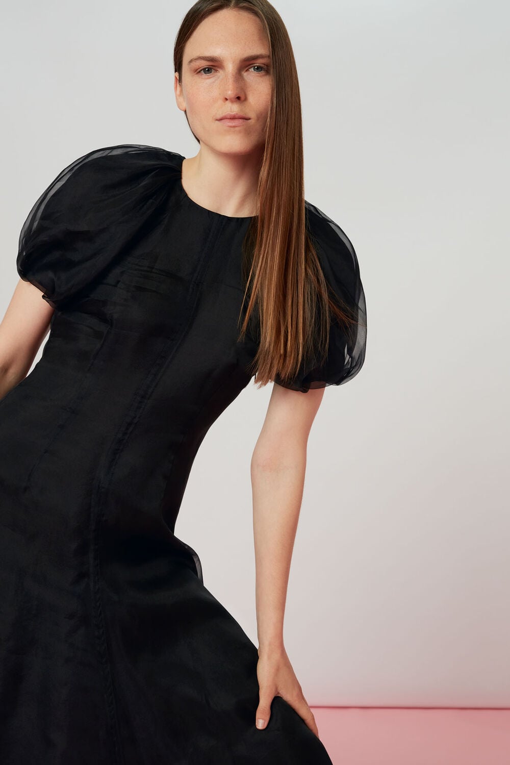 Organza Puff Sleeve Dress
