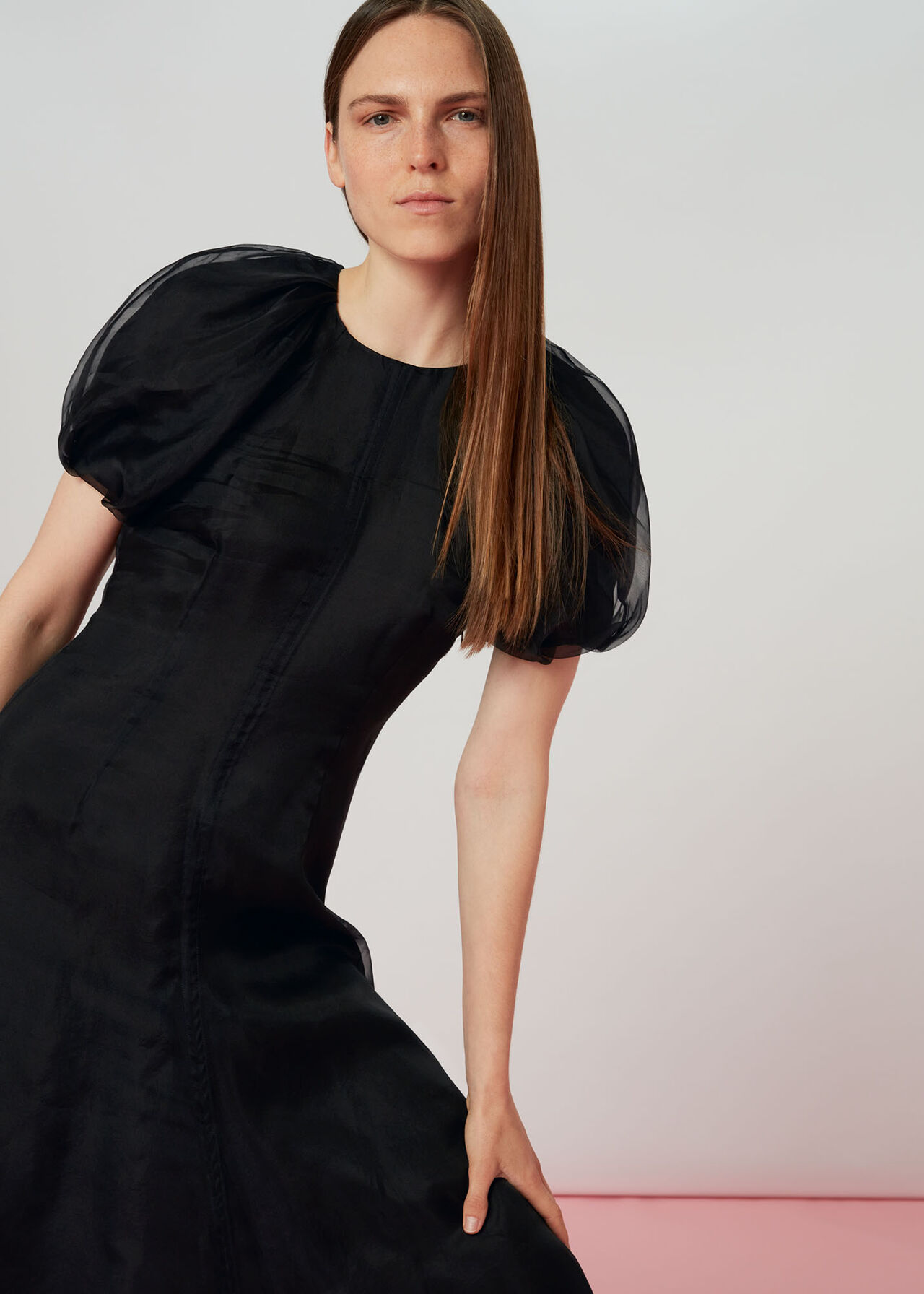 Organza Puff Sleeve Dress