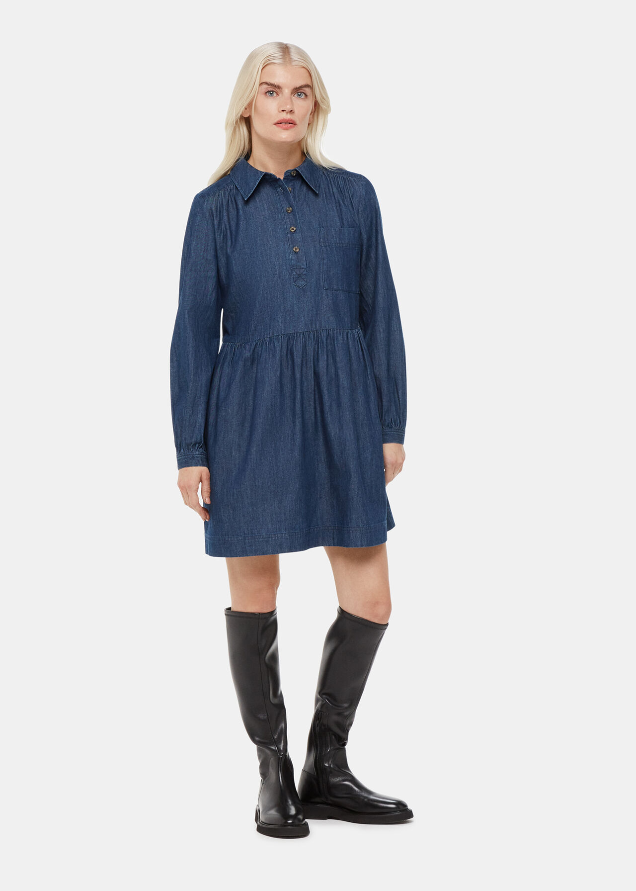 Petite Winnie Chambray Denim Dress