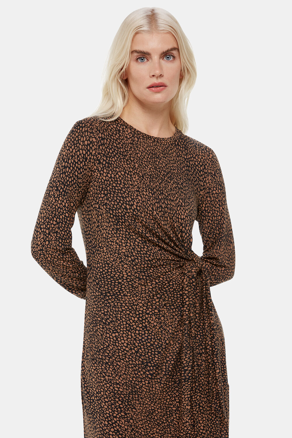 Petite Coffee Bean Tie Jersey Dress