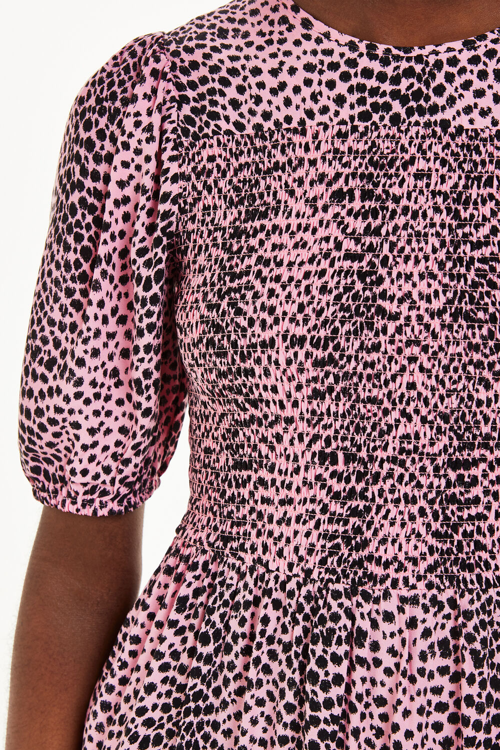 Sketched Cheetah Dress