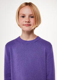 Annie Sparkle Knit Dress