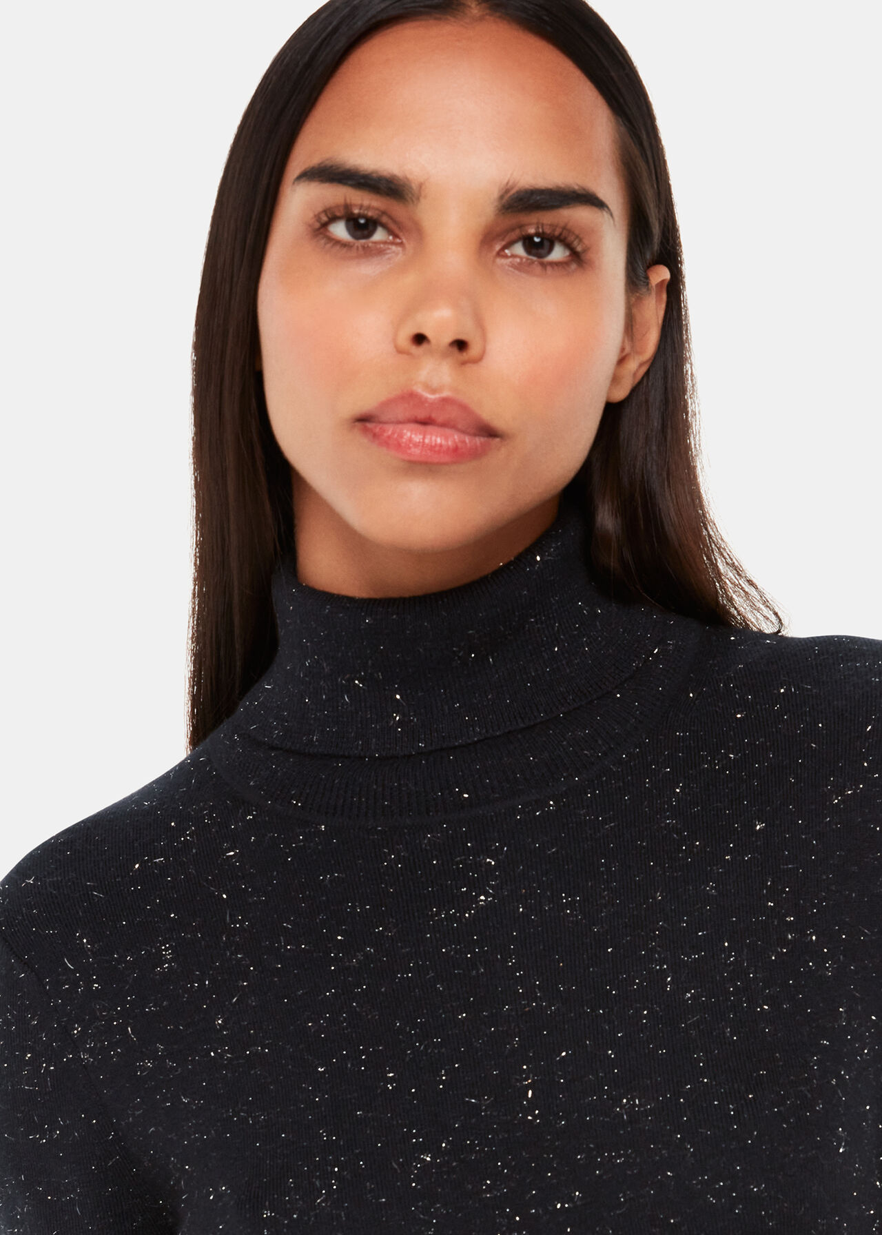 Annie Sparkle Roll Neck Dress