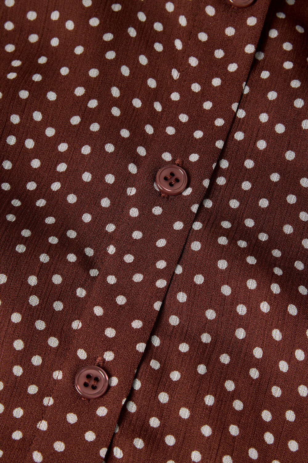 Brown Polka Dot Sheer Sleeve Shirt