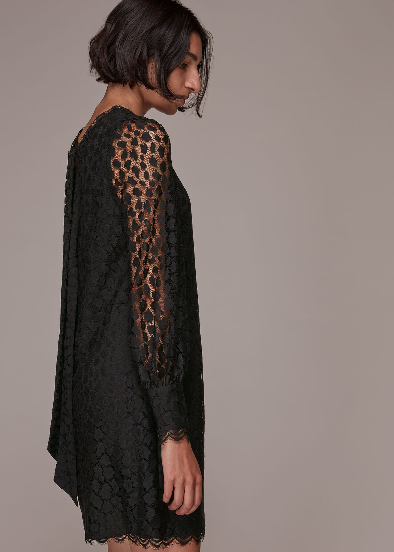 Animal Lace Tie Detail Dress