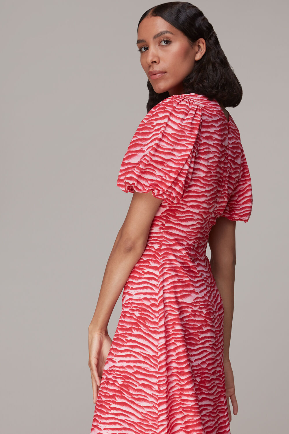 Seafoam Zebra Silk Midi Dress