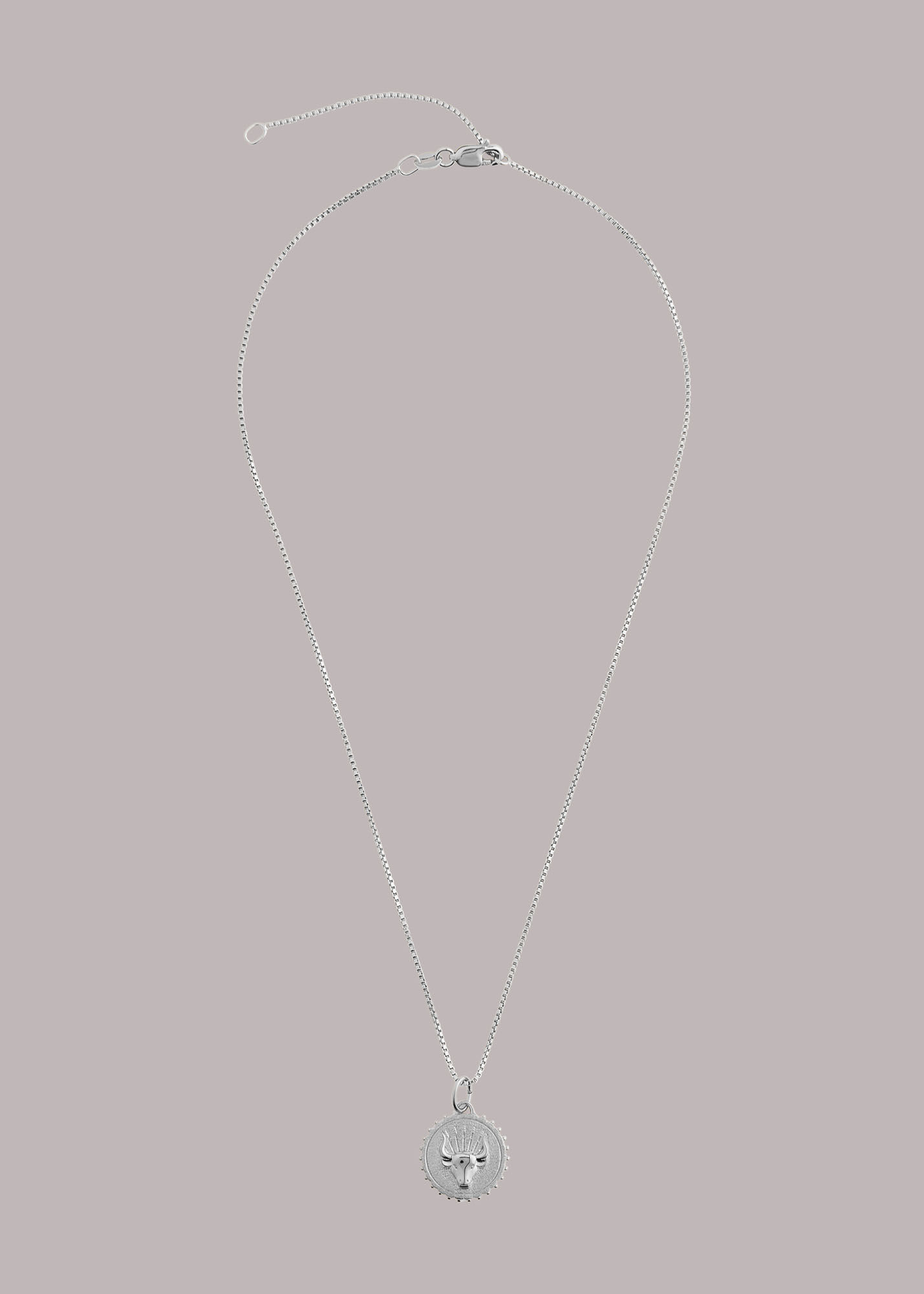 Taurus necklace silver new arrivals