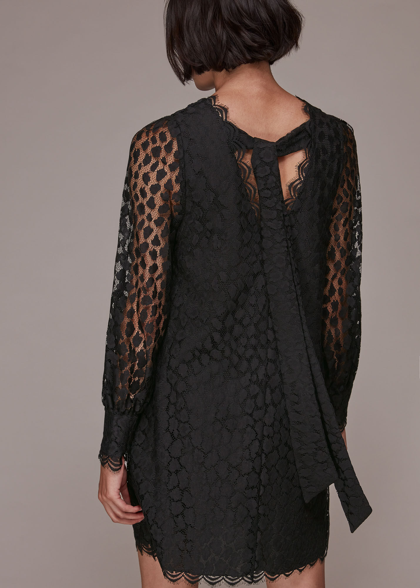 Black lace detail dress shop