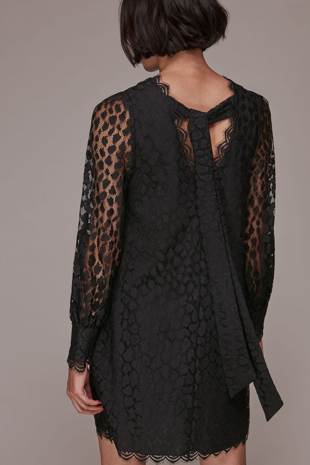 Animal Lace Tie Detail Dress