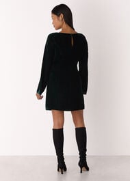 Petite Velvet Flare Sleeve Dress