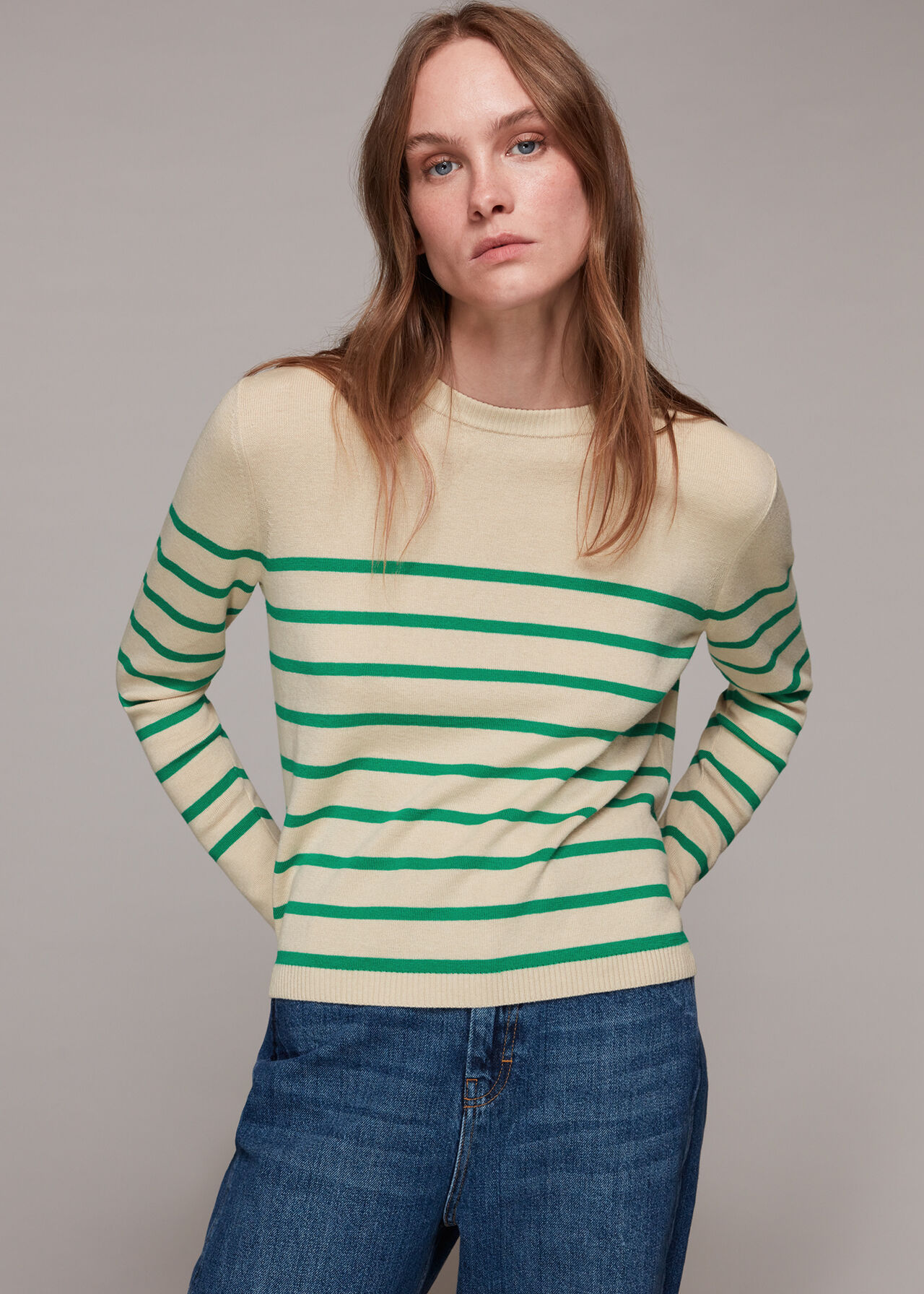 Multicolour Stripe Crew Neck Knit | WHISTLES