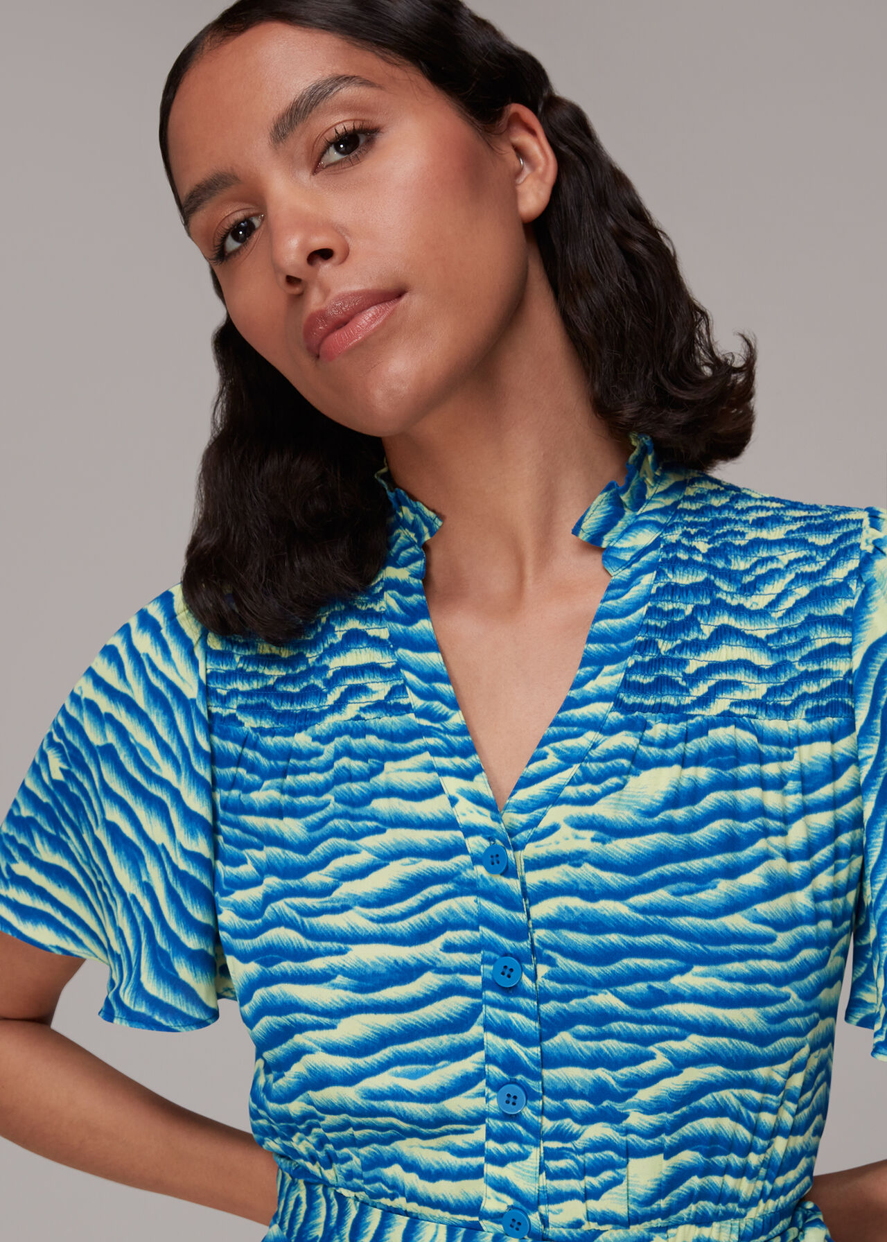Seafoam Zebra Midi Dress