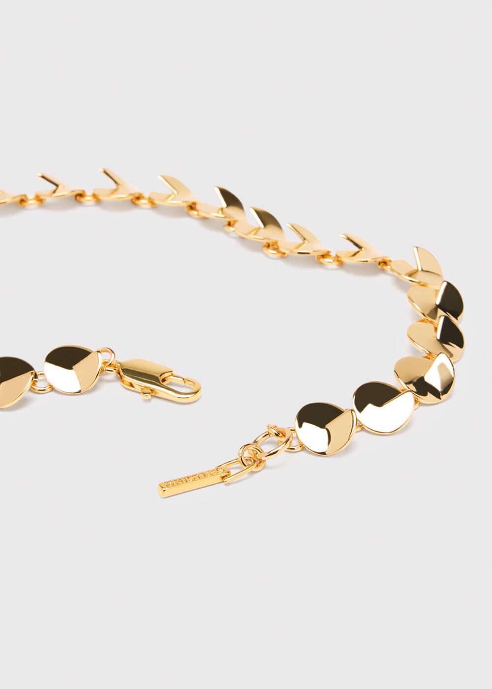 Detailed Circular Chain Belt