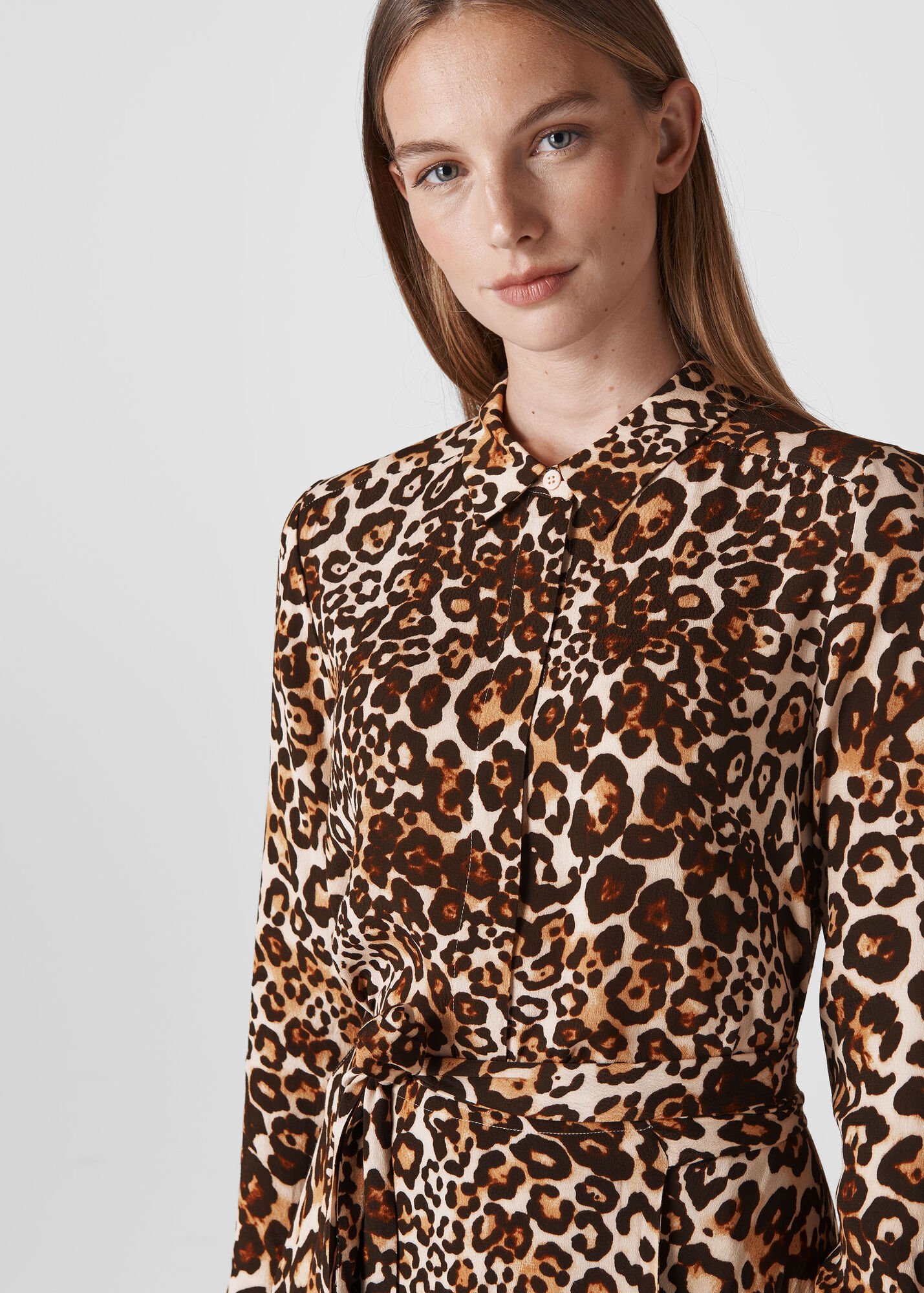 Leopard Print Animal Print Esme Dress | WHISTLES