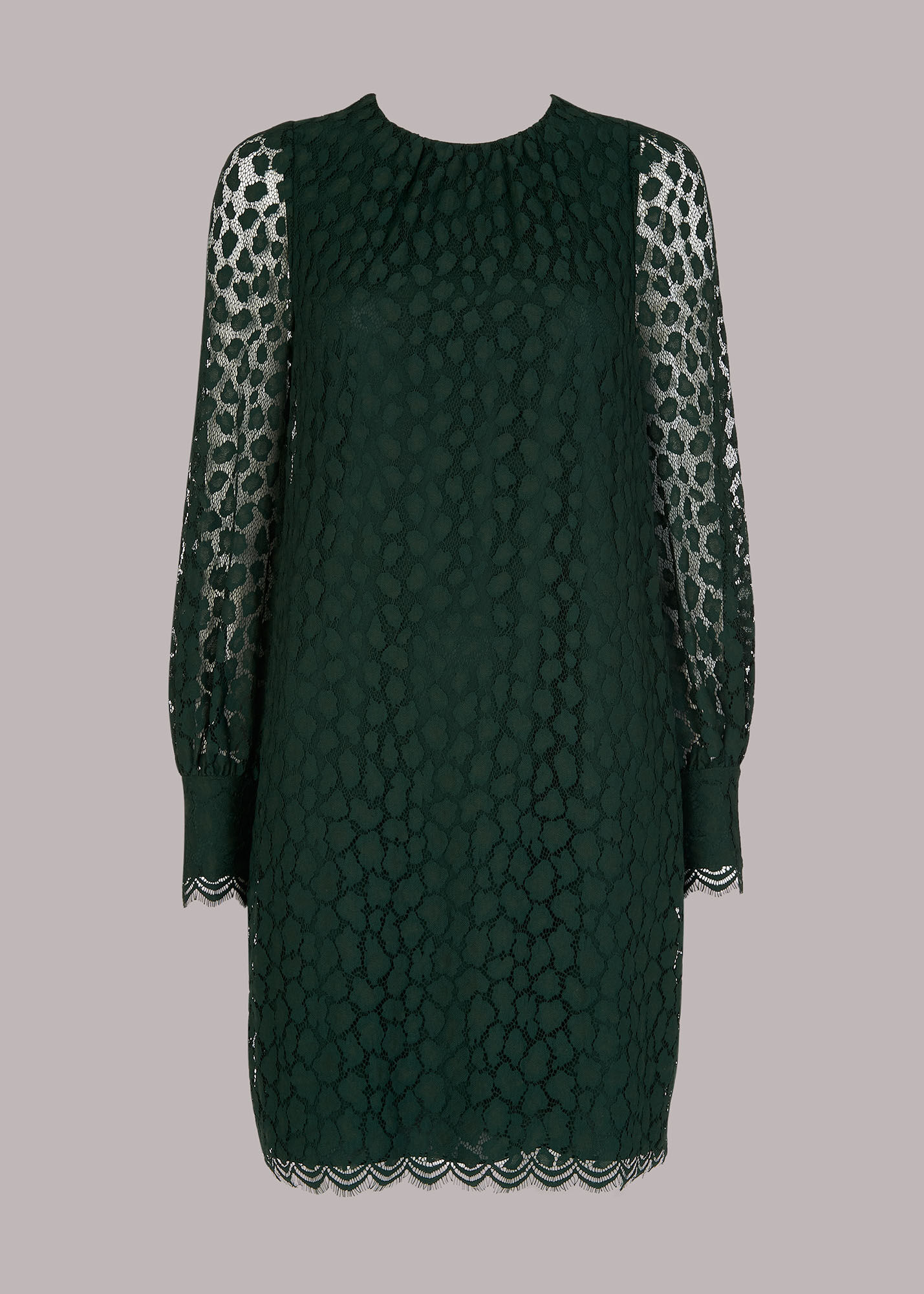 Boden green store lace dress