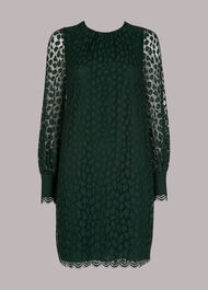Animal Lace Tie Detail Dress