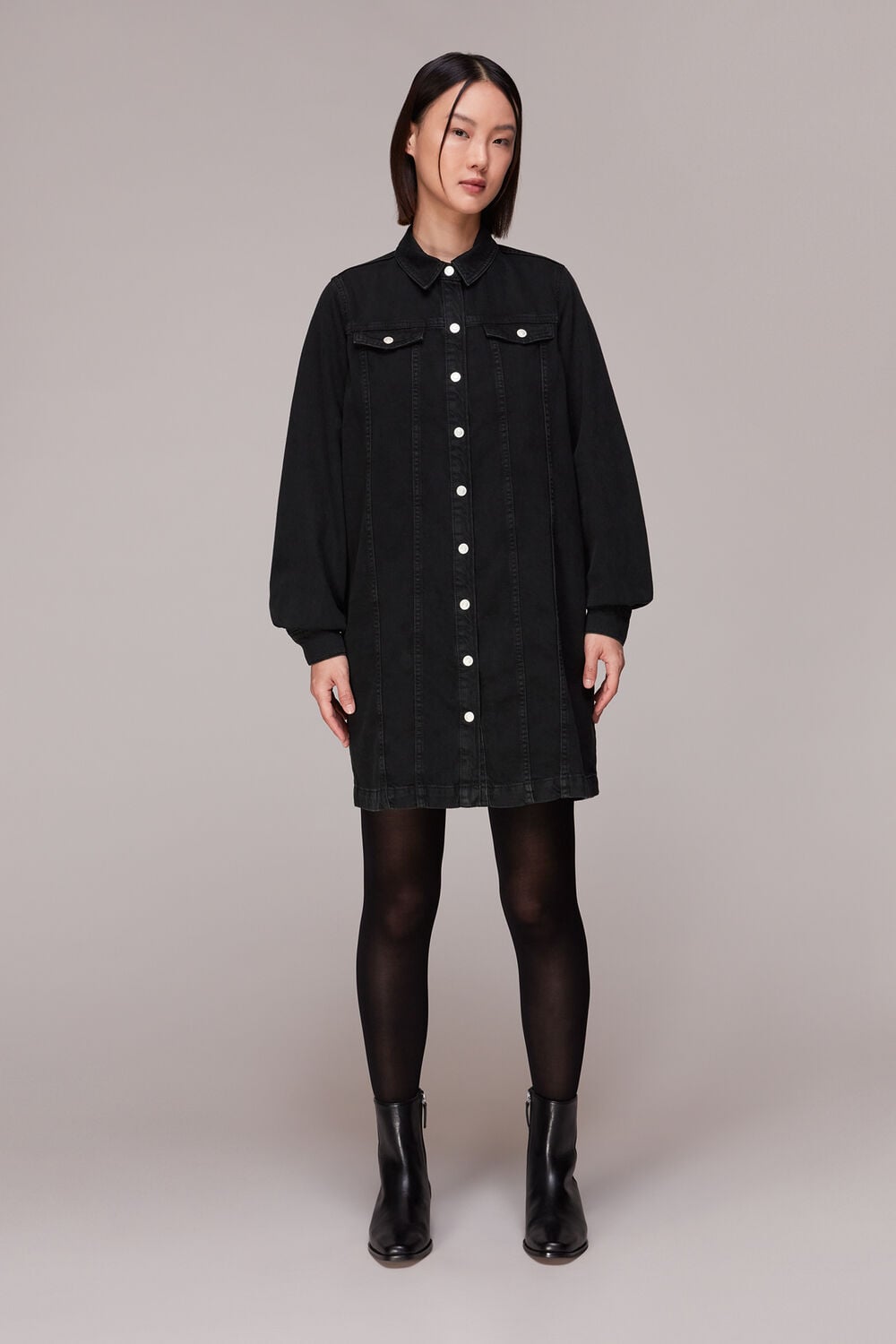 Rosanna Denim Dress