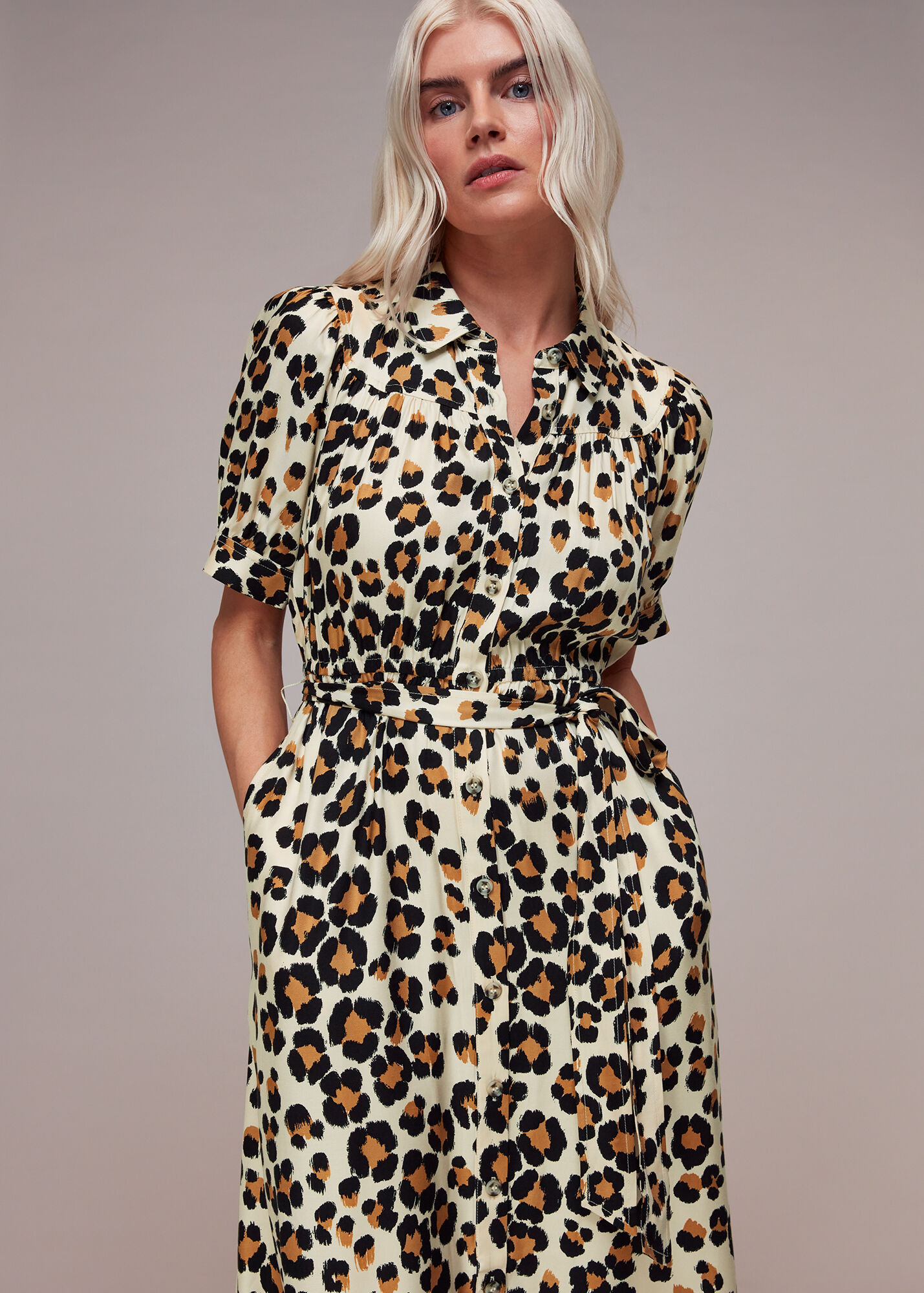 Leopard Print Painted Leopard Dress WHISTLES