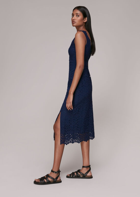Navy Nova Lace Midi Dress