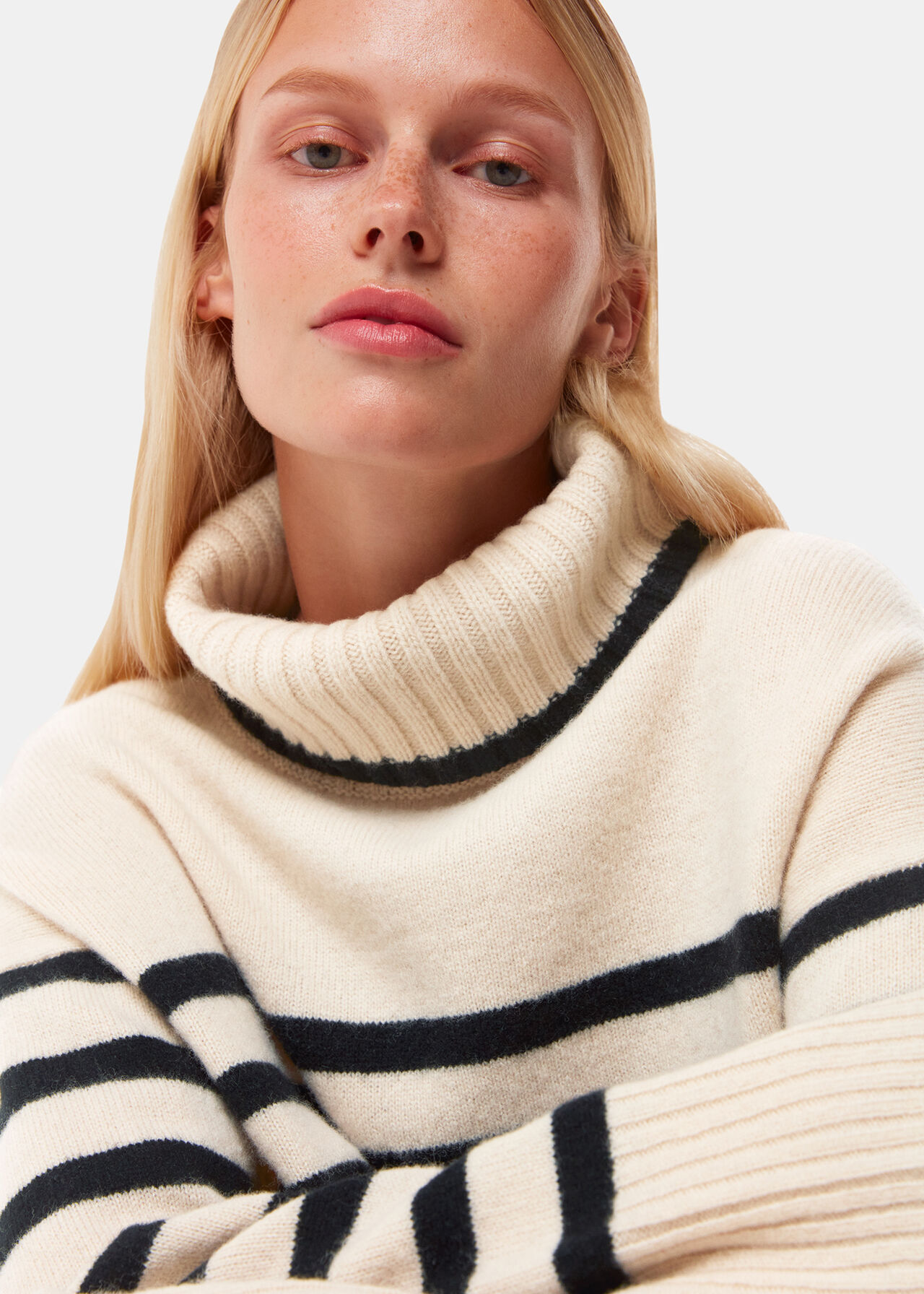 Whistles Stripe Wool Roll neck