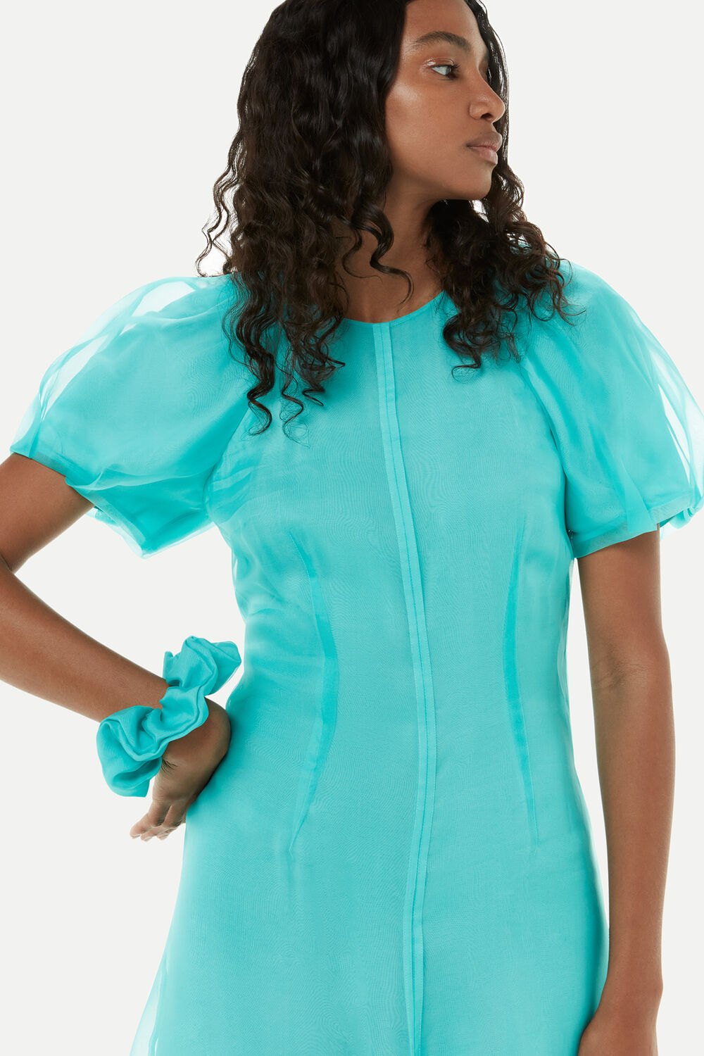 Organza Silk Puff Sleeve Dress