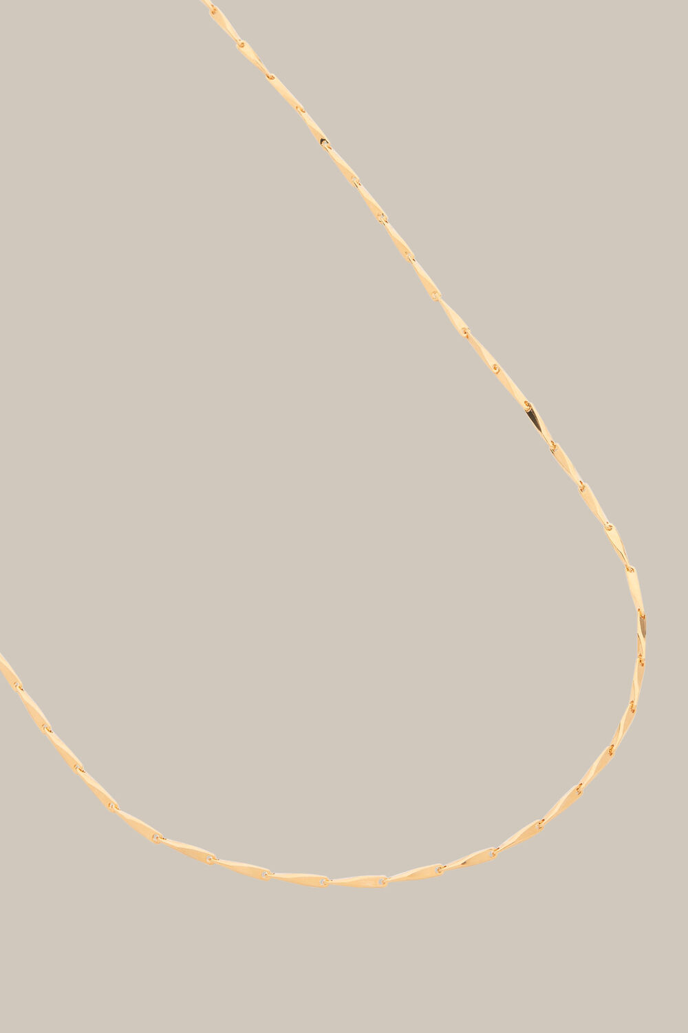Long Link Necklace