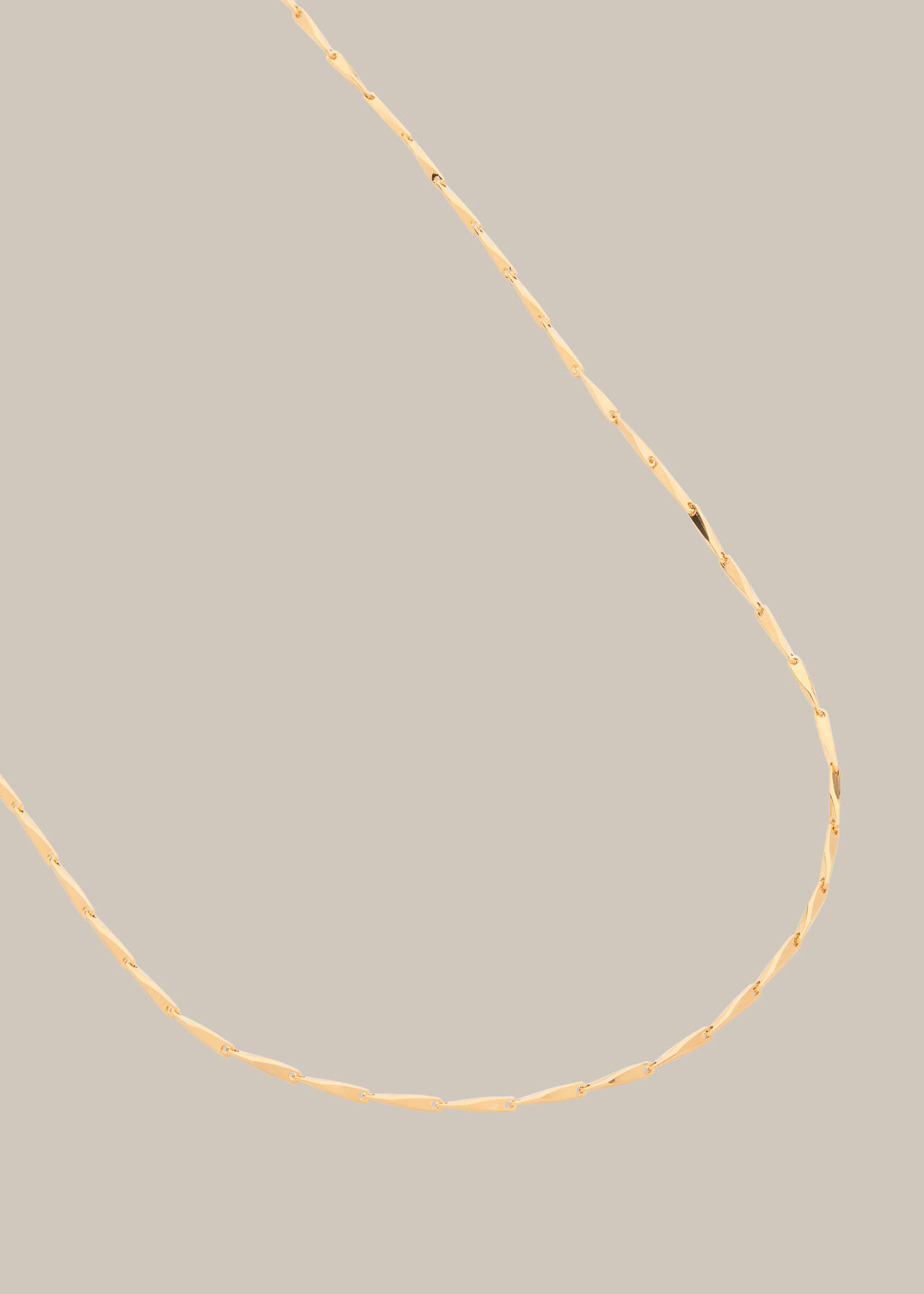 Long Link Necklace