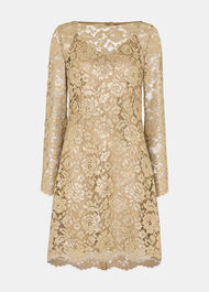 Metallic Lace Mini Dress