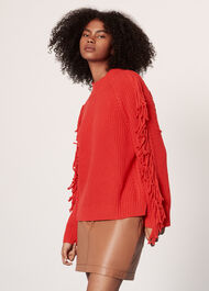 Fringe Sleeve Cable Sweater