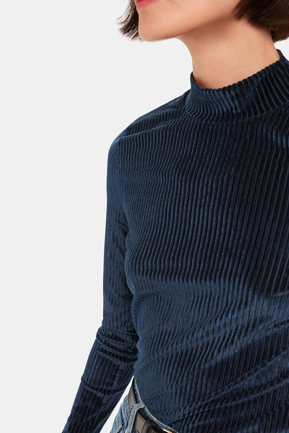 Velvet Stripe High Neck Top