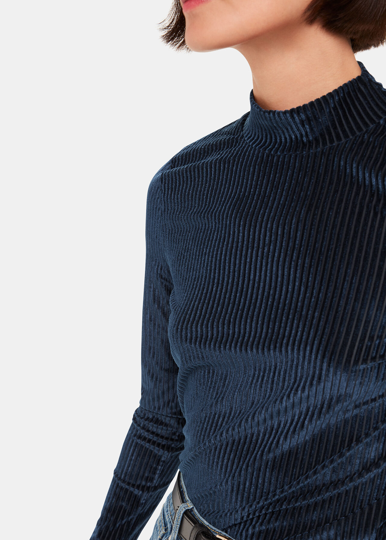 Velvet Stripe High Neck Top