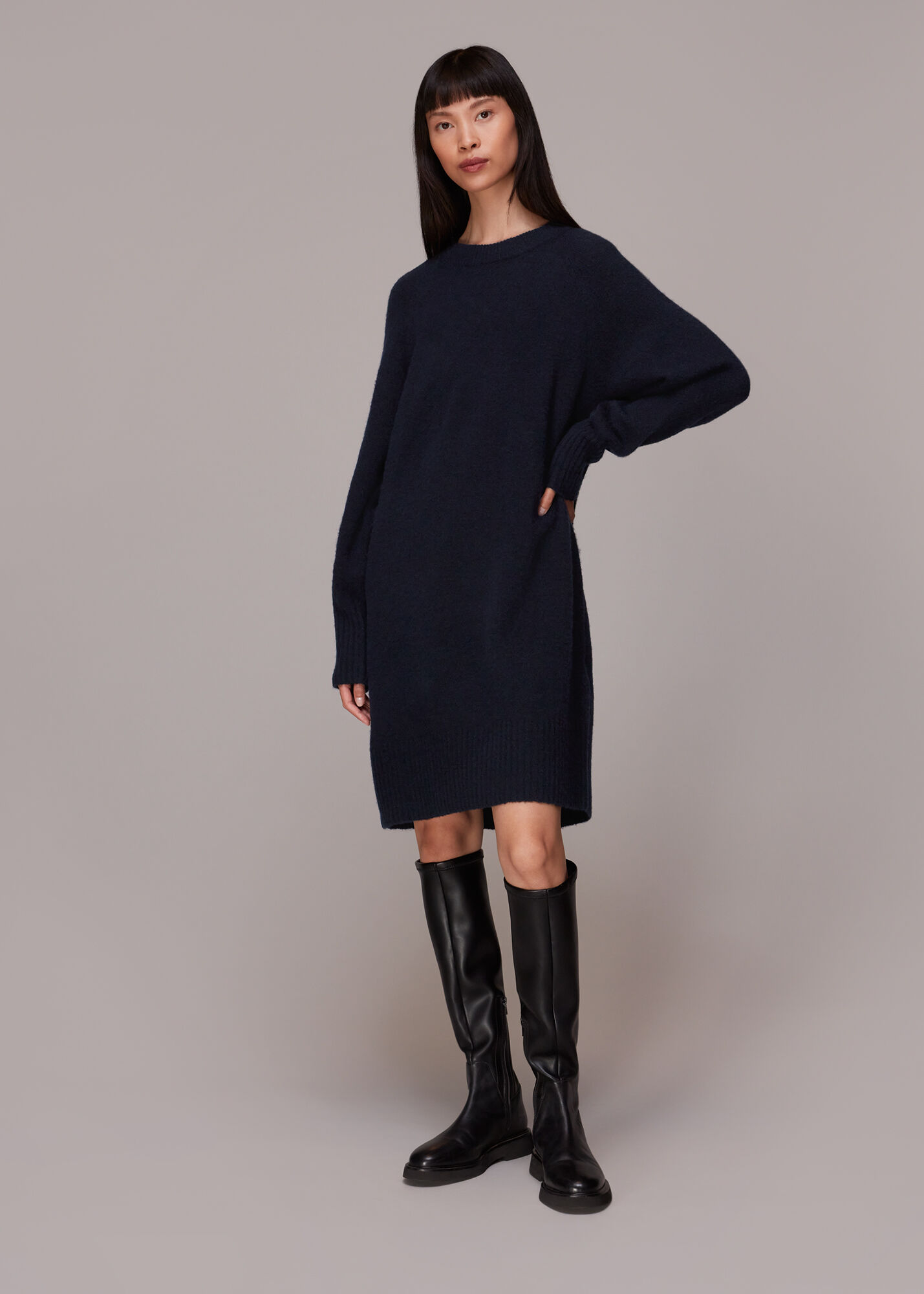 Navy Crew Neck Knit Dress WHISTLES