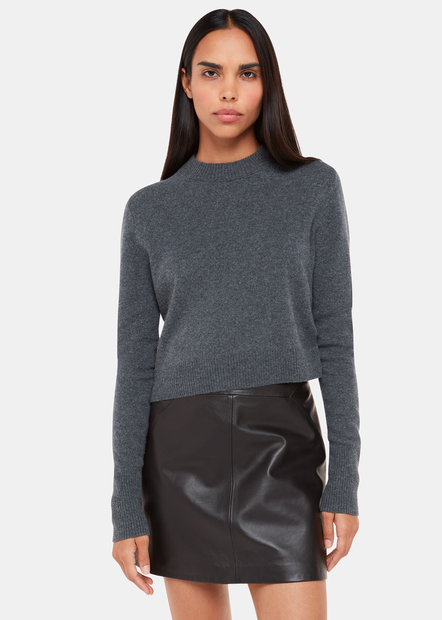 Short Black A Line Leather Skirt Whistles