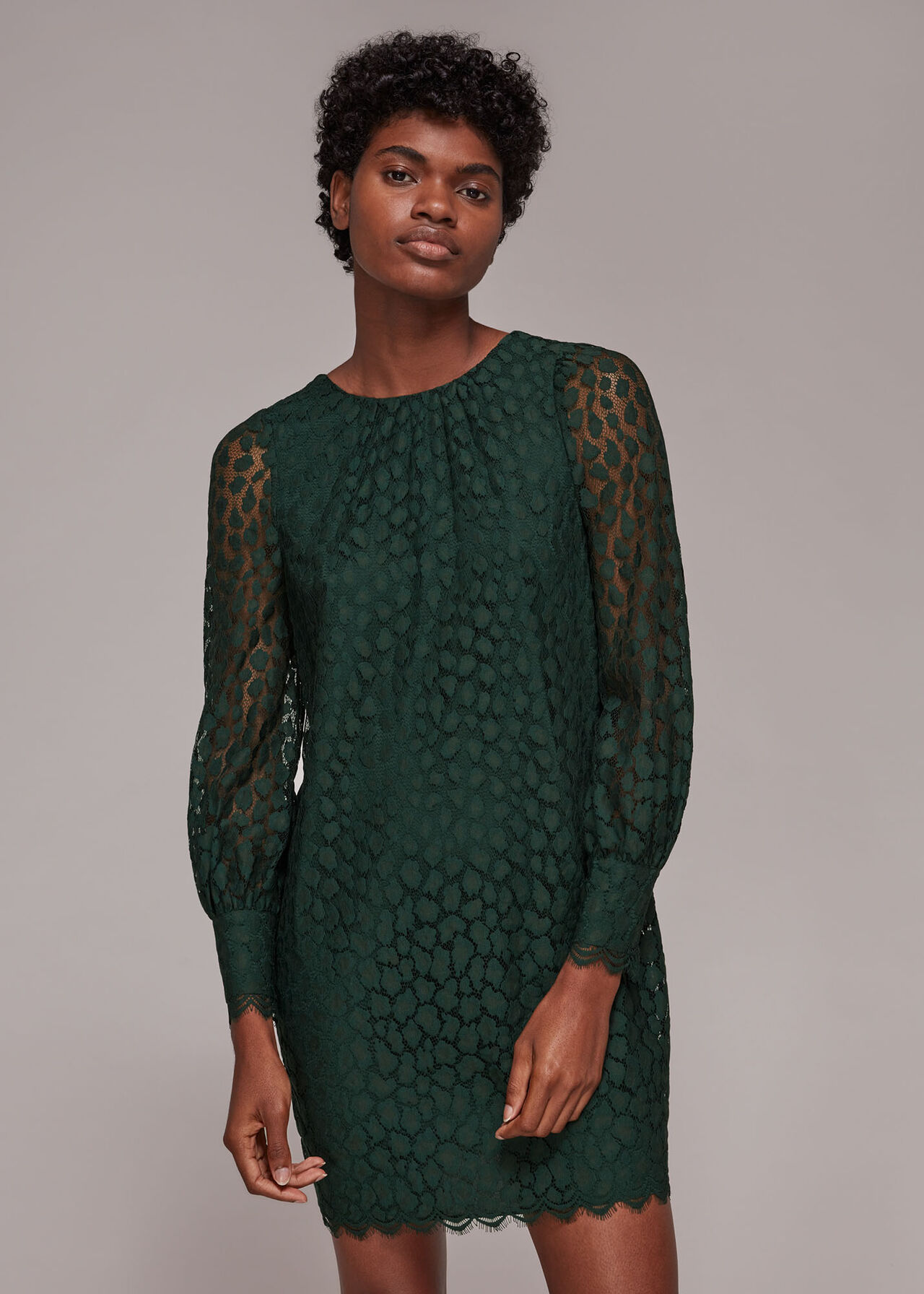 Animal Lace Tie Detail Dress