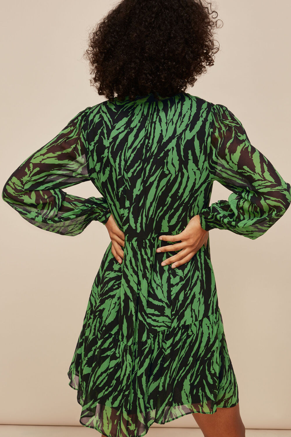 Zebra Stripe Trapeze Dress