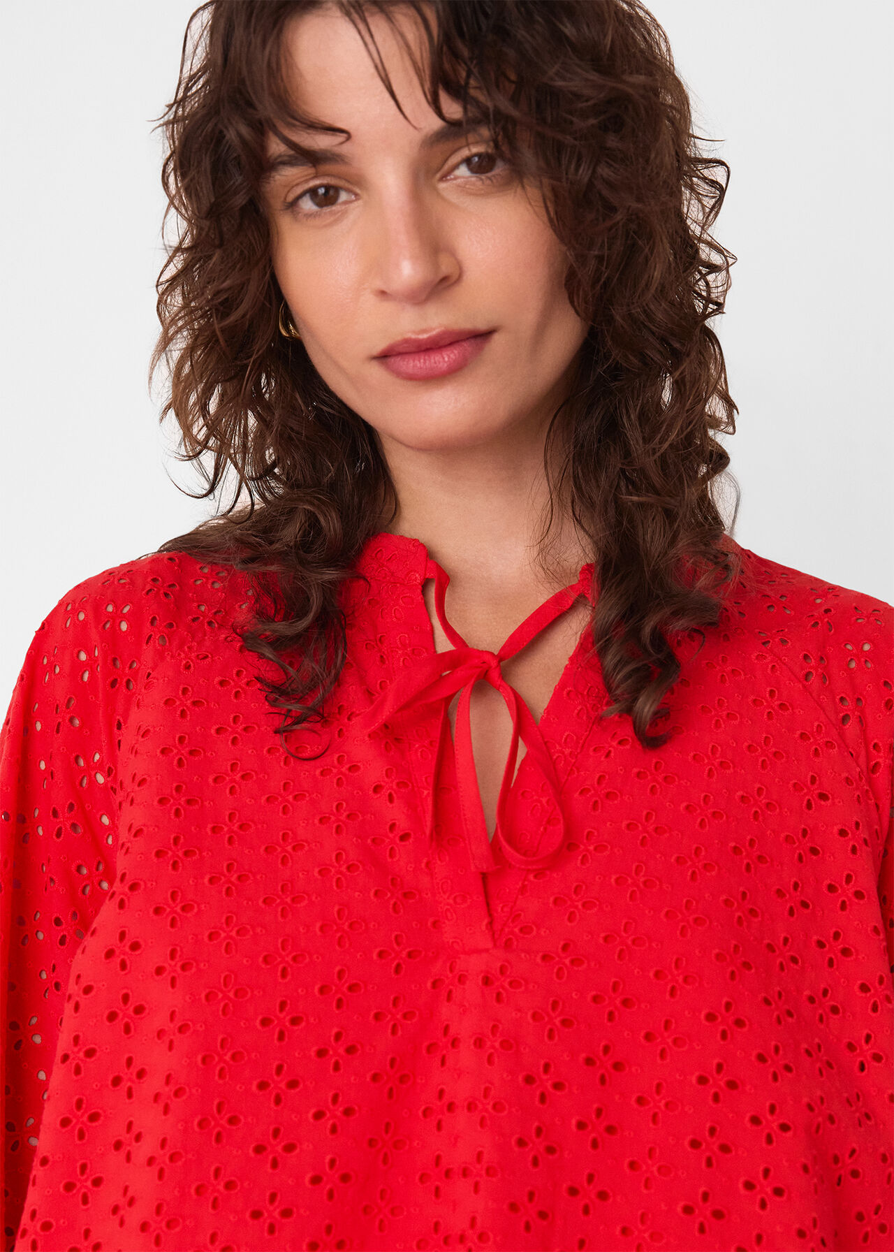Broderie Cotton Mini Dress