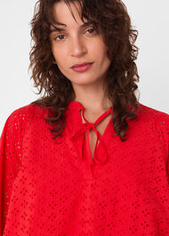 Broderie Cotton Mini Dress